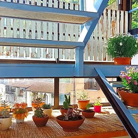 宾馆 Dei Pescatori 多马索