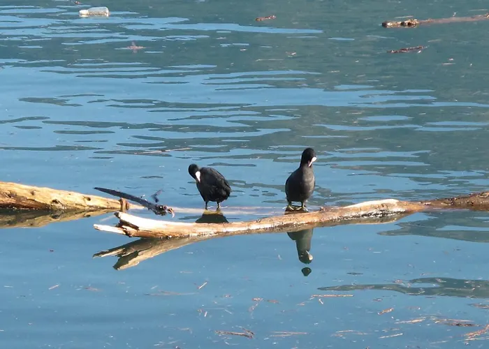 Dei Pescatori * Domaso